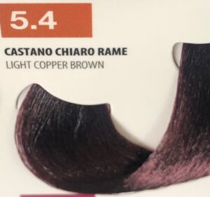 TE 5.4        TECHNIQUE TINTA 100 ML