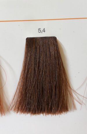 L'OREAL INOA N.5.4  60 ML