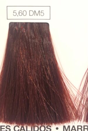 L'OREAL INOA N.5.60 DM5  60 ML