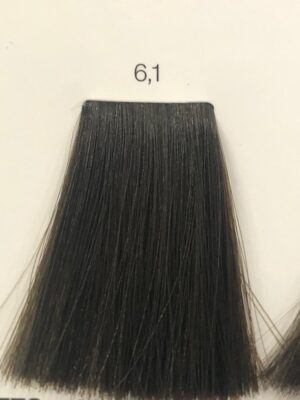 L'OREAL INOA N.6.1  60 ML