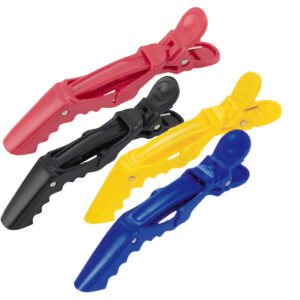GIUBRA BECCONI COLOR  1412