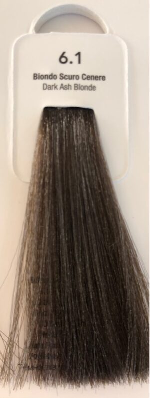 TINTA RENEE' BLANCHE HAUTE COIFFEUR 6.1  100 ML