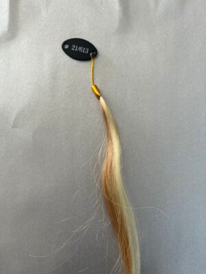 CELESTE HAIR EXTENSION CON CHERATINA MECHES COL. 21/613 20 PZ